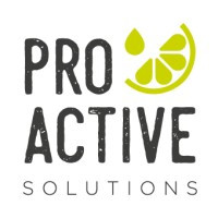 PROACTIVE SOLUTIONS GROUP LTD